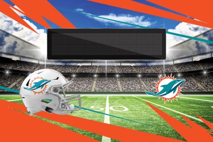 [Personalization Only] Dolphins